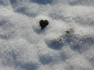 DSCN0242_1206 (Small)