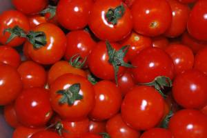 pomodorini