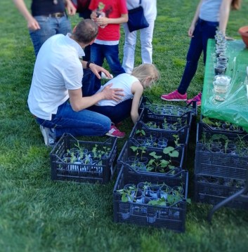 Piantine seminate e coltivate dai bambini delle scuole primarie... passaparola!