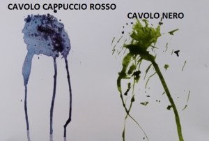 Colori naturali estratti dagli ortaggi