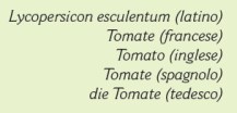 Come si dice pomodoro