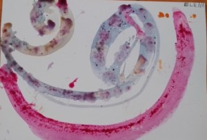 Disegnare con i colori naturali