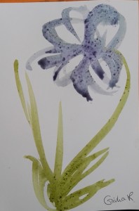 Disegnare con i colori naturali