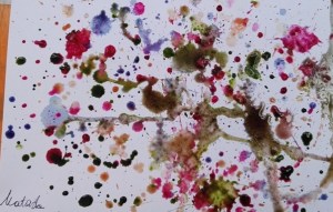 Disegnare con i colori naturali