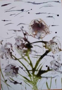 Disegnare con i colori naturali